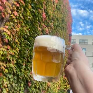 It’s still patio season! We recommend sipping a Czech 1, 2 while watching our iv